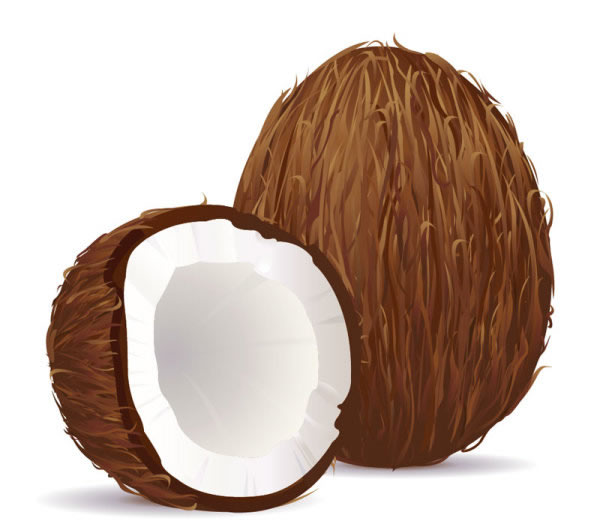 Coconut fruit