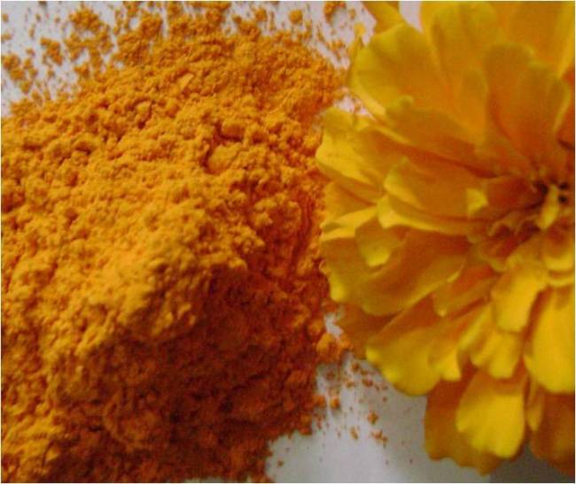 Lutein Ester