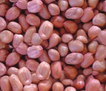 Peanut steep powder